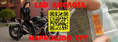 эйфоретик Сланцы
